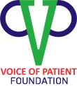 logo-voice